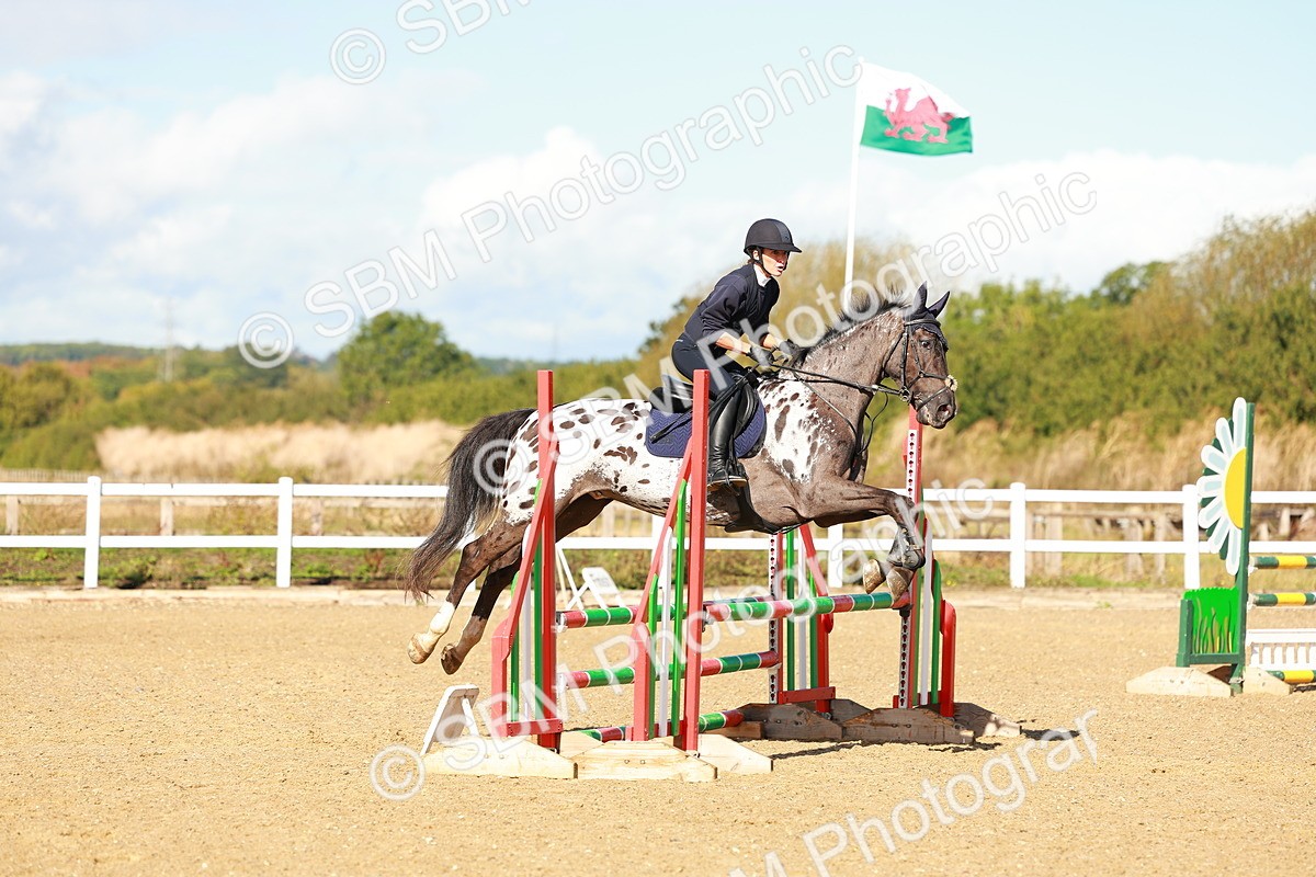 SBM_000383 - Class 2 - Senior British Novice - 90cm