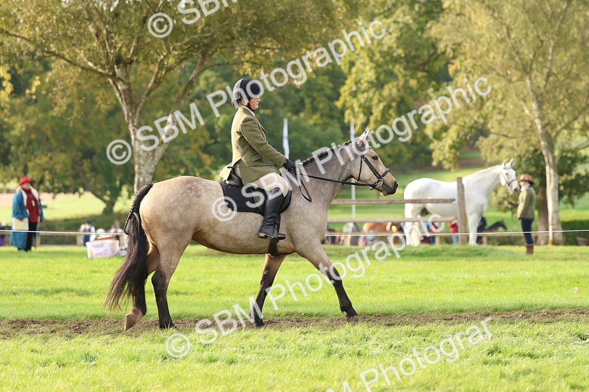 SBM_56517 - S40 - Starters Ridden Showing