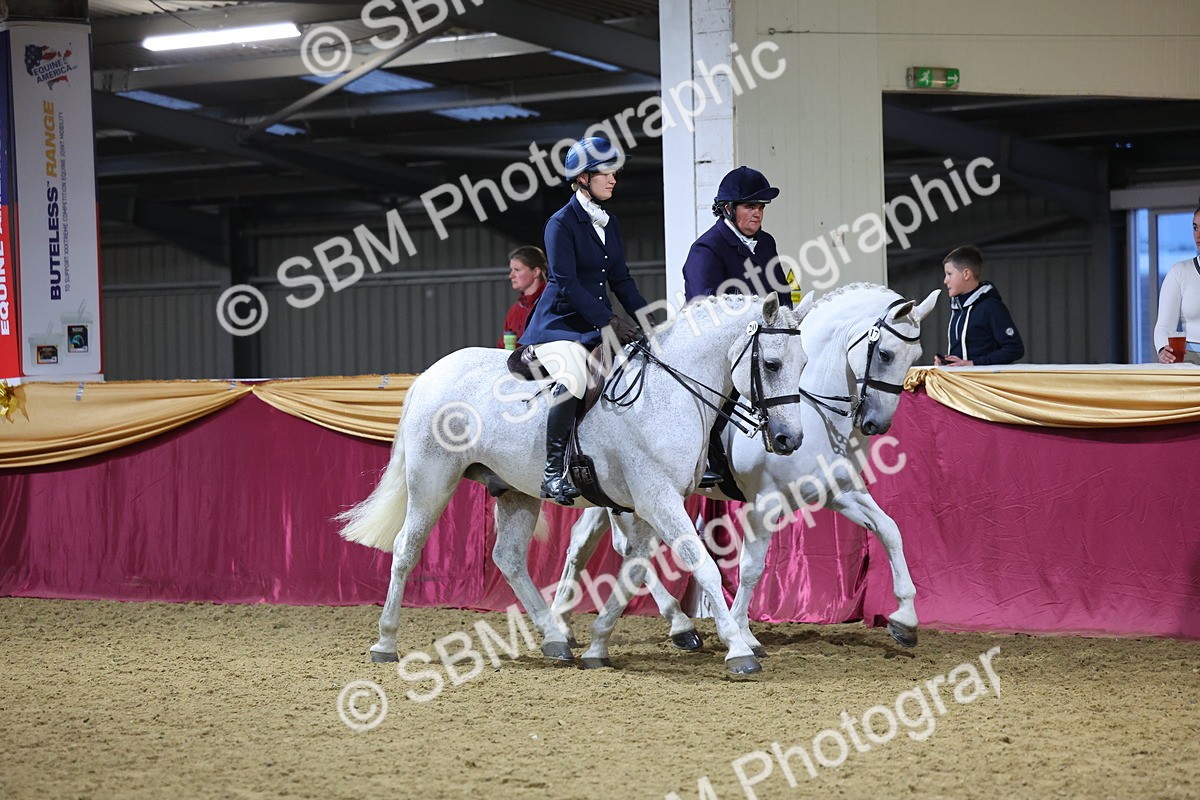 0B8A4319 - Class M Ridden Pairs Champ