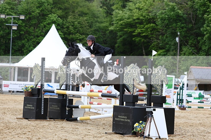 3E7A6512 - Class 4: Senior British Novice/90cm open
