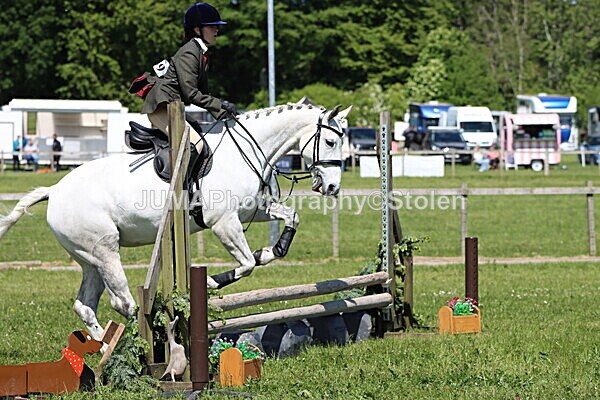 IMG_3530 - Working Hunter