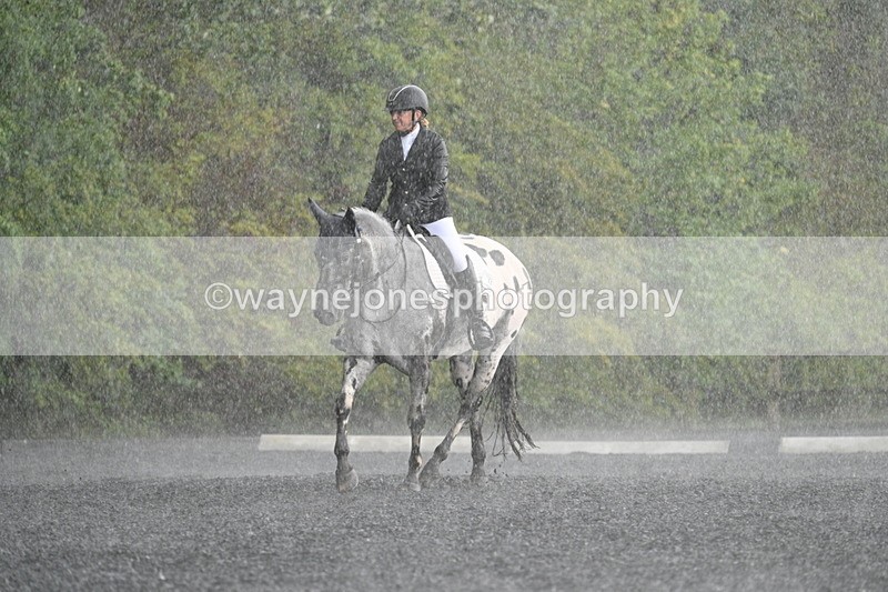 WJ7_8246 - Time 14:02 to 14:11