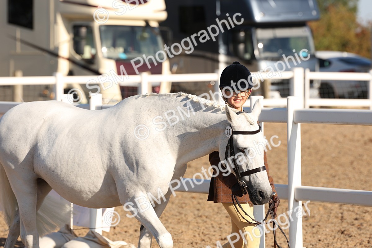 SBM_11612 - Class 203 - Young Handler 11 to 16 years