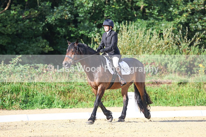 3E7A1861 - Class 1: Intro 4 2024 section A