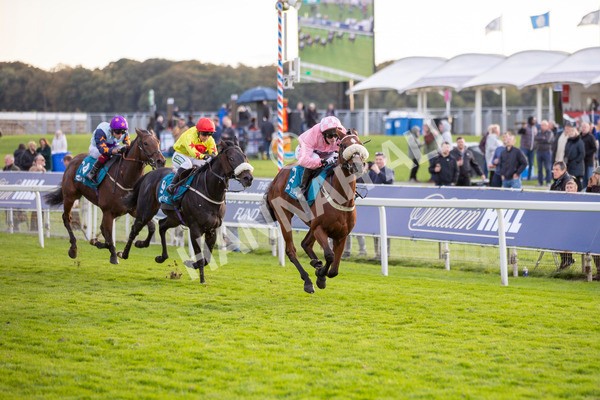 111024-Race 7-On The River-7074 - Race 7 4.55pm Ire Incentive, It Pays To Buy Irish Apprentice Handicap
