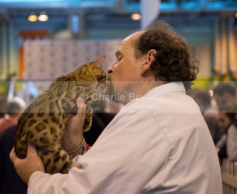  - 40th Supreme Cat Show NEC Birmingham