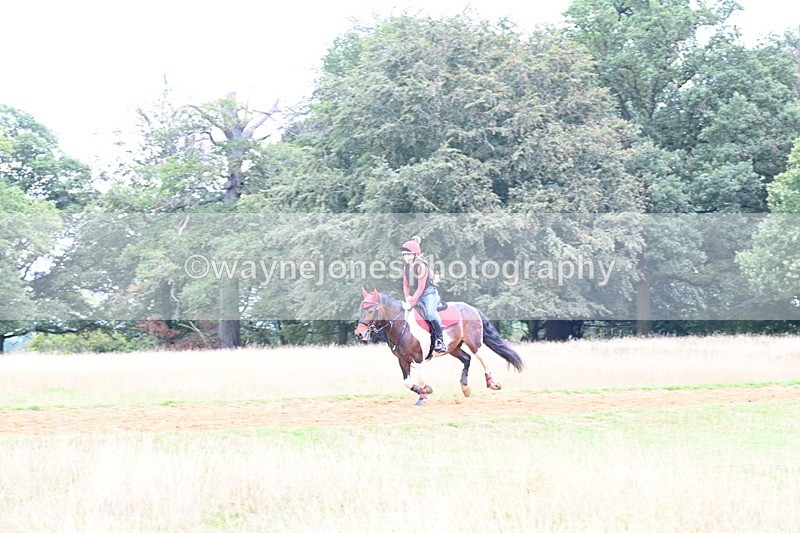 DSC_9700 - Time at Statue 15:11 to 15:58