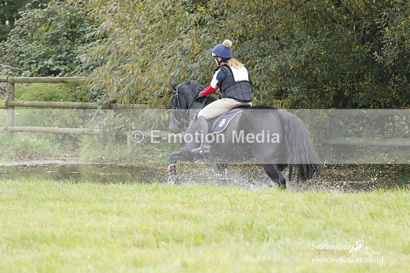  WWHT 171021 0957 - Open Novice (0.80m)  17/10/21