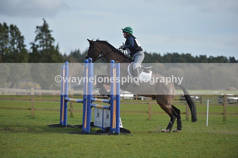 NGP_3533 - Time 15:46 to 16:17