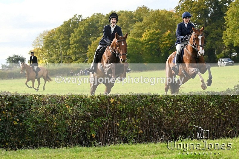 WJ6_5595 - Edited examples