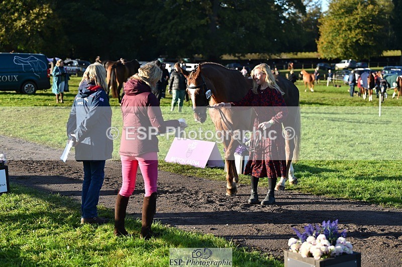 231022-092446-21765 - 639-TRAQ.TIME-Madeleine.Ellis-TrotUp+SJ
