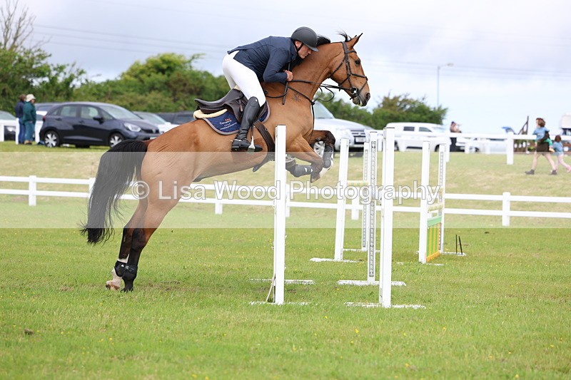 3E7A7038 - Class 12: Senior Foxhunter/1.20 open