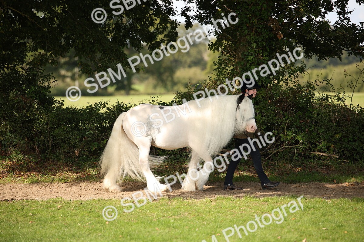 SBM_62160 - S55 - Traditional Cob In Hand