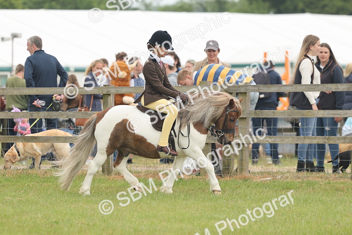 SBM_08888 - Class 78-80 - Ridden M&M Non Welsh Ponies
