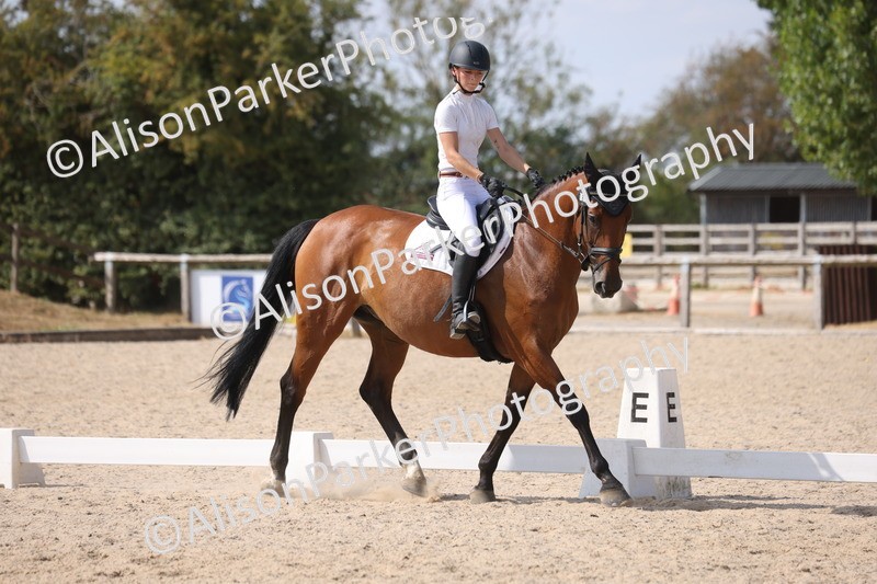 20260815-1082 - Class 6 - Novice 2