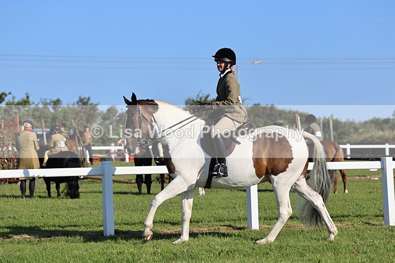 IMG_1234 - Class 27: Ridden Plaited Coloured Horse