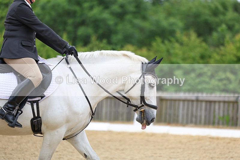 3E7A9498 - Class 2: Intro 1 2024 Section B