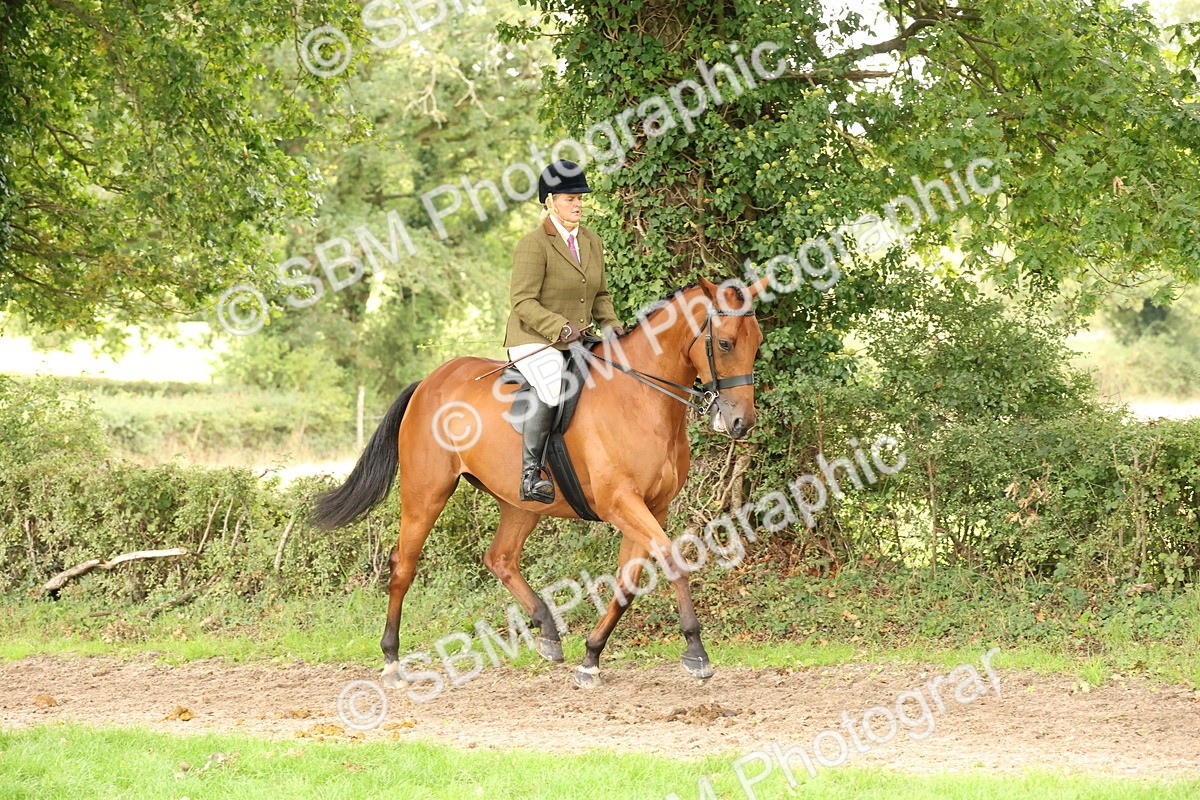 SBM_66279 - S66 - Hunter Ridden