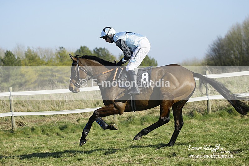 PtP 270222 176 - South & West Wilts Point-to-Point Larkhill 27/02/22