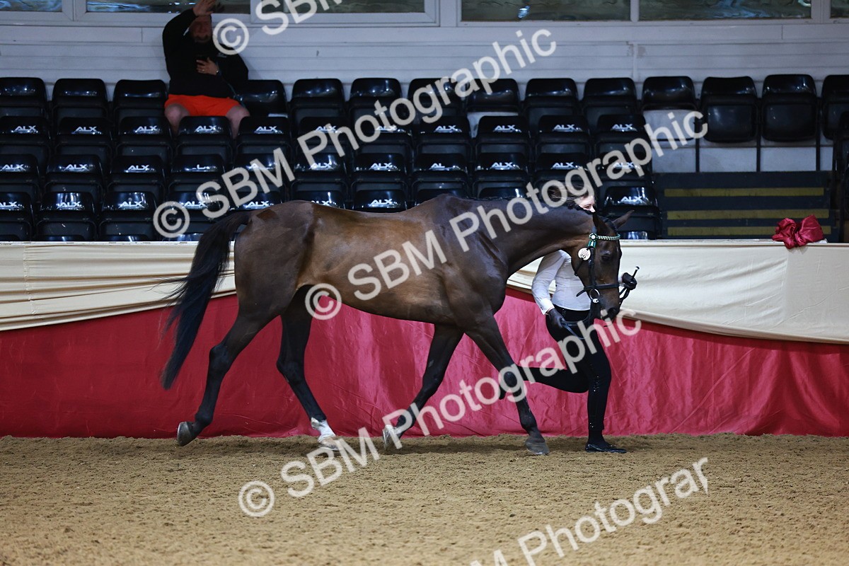 SBM_22294 - Class 902 - Supreme Final - IH Diamond