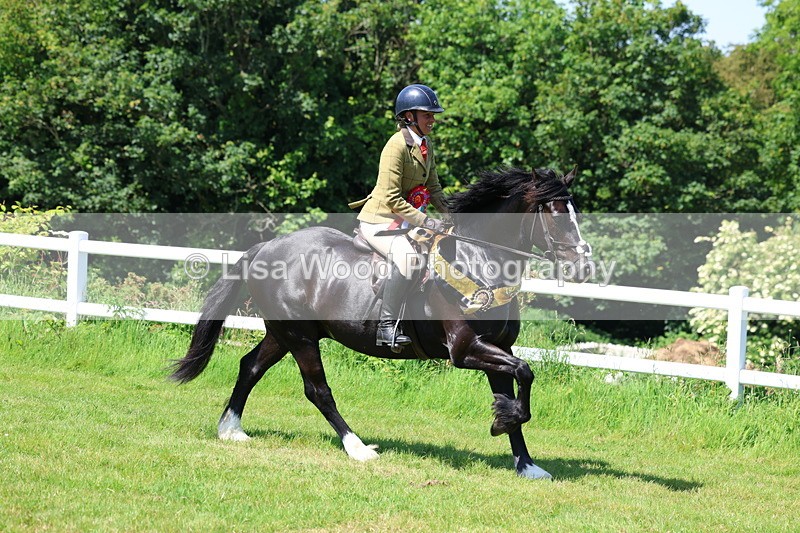 3E7A6851 - Working Hunter Pony Championship