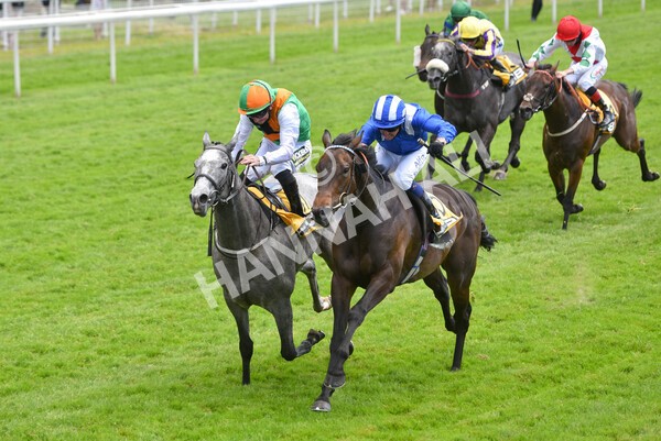 yr12062021r2-31 - Race 2 2.35pm The JCB Stakes