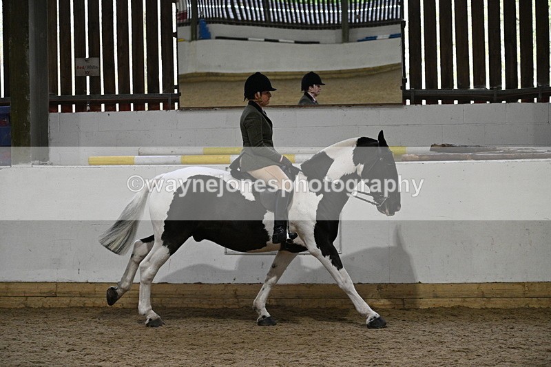 WJ7_3881 - Class 17 Ridden Cob