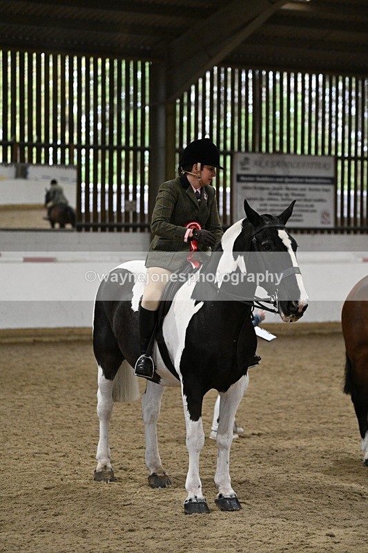 WJ7_4344 - Class 17 Ridden Cob