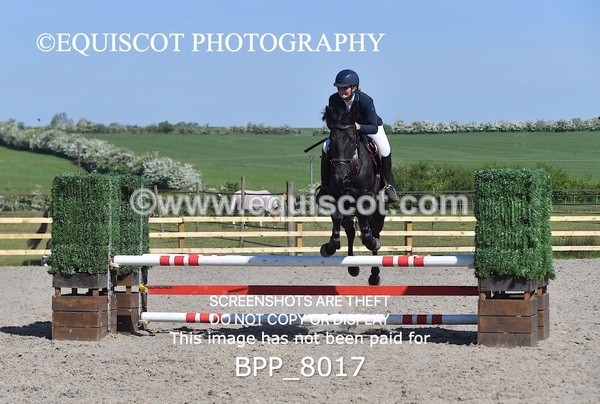 BPP_8017 - CLASS 2 Club/ Unaffiliated 80cms Open