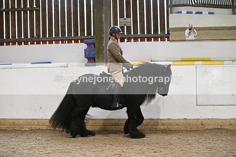 WJ7_4496 - Afternoon Champs