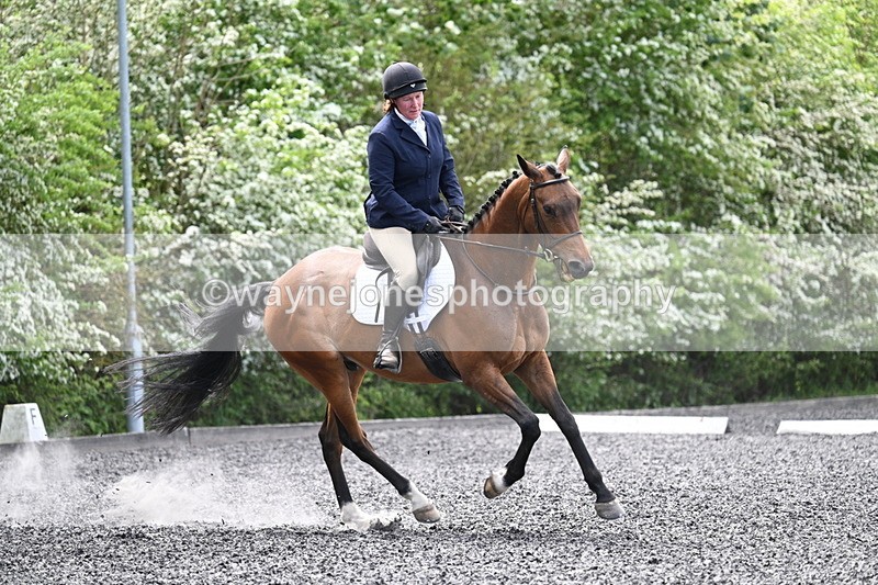 WJ7_8981 - Time 11:32 to 11:54