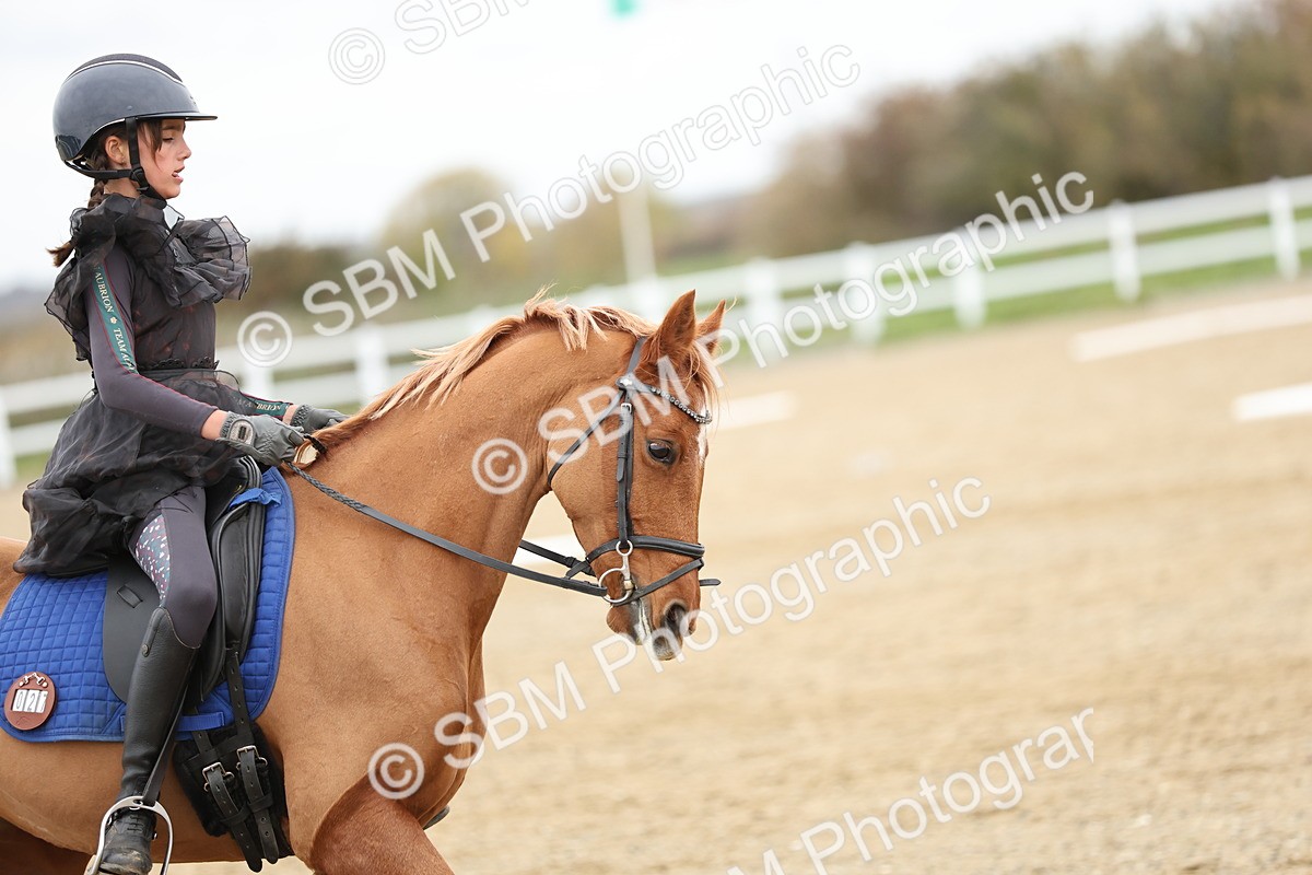 SBM_003869 - Class 9-12 - Novice 2 Elementary 3