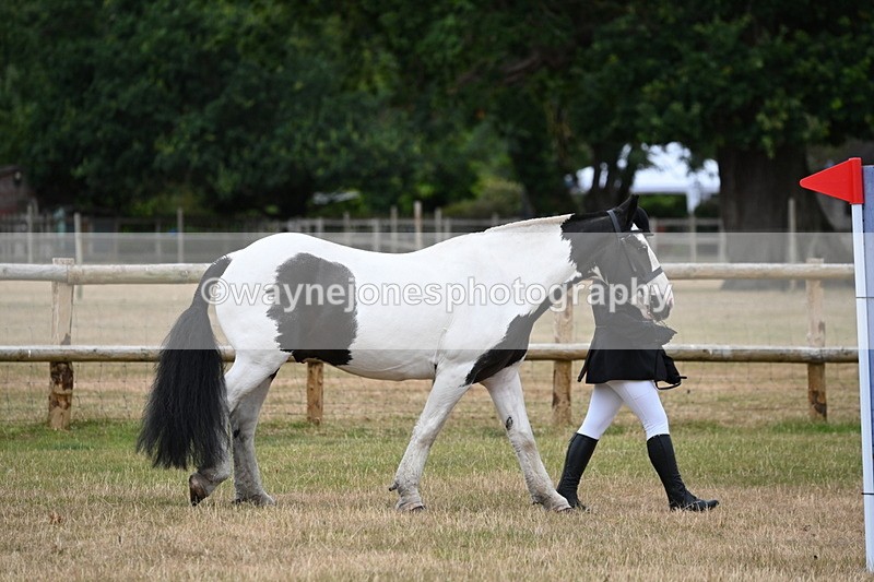 WJ6_4161 - Class 10 Coloured In-hand