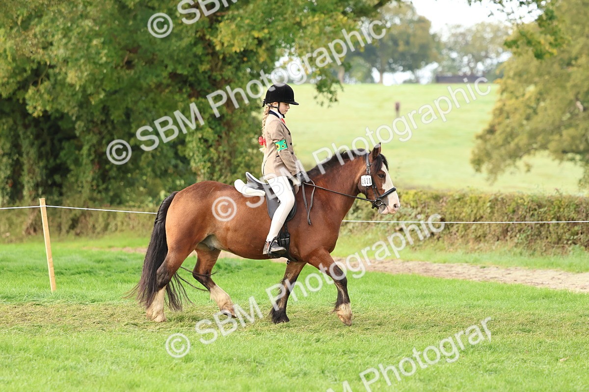 SBM_56566 - S40 - Starters Ridden Showing