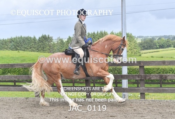 JAC_0119 - CHAMPIONSHIPS AND SUPREME