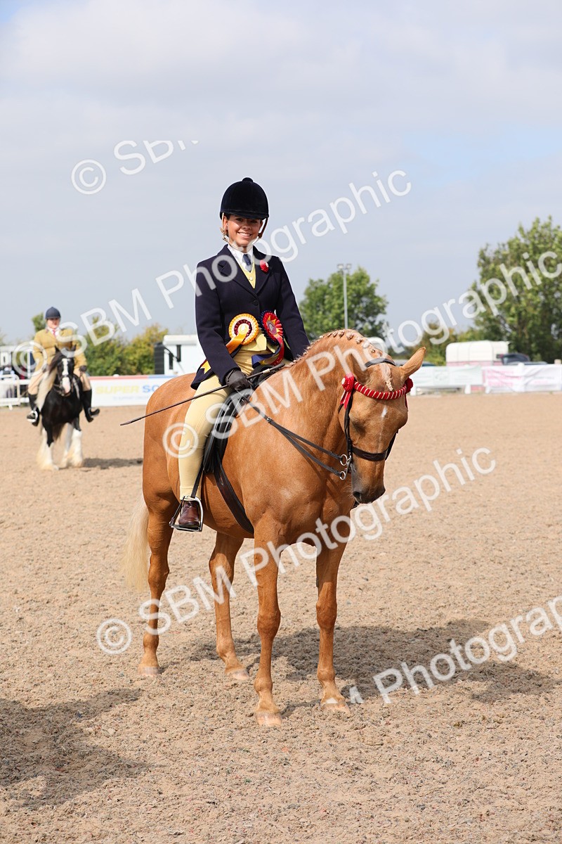 SBM_12858 - Class 307 Ridden Coloured Pony