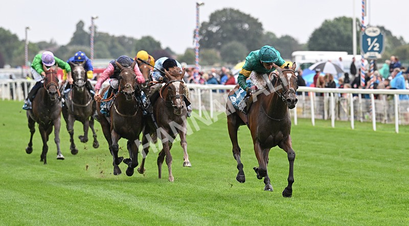 200826-127 Prizeland - Race 5 16.10pm British EBF & Sir Henry Cecil Galtres Stakes