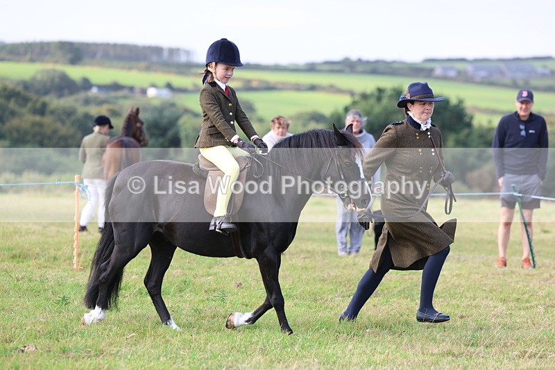 3E7A3430 - Class 2: Lead rein