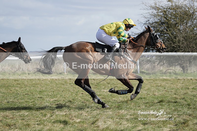 PtP 260223 317 - South & West Wilts Point-to-Point Larkhill 26/02/23