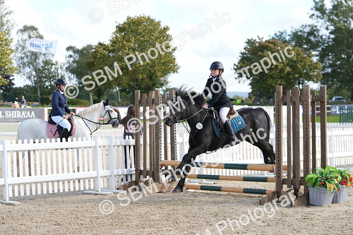 SBM_48435 - J7 - Junior Pony 60cm Championship