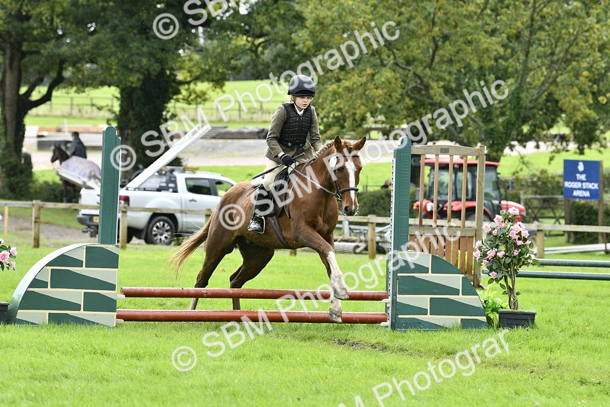 SBM_41464 - S32 - Mountain & Moorland Working Hunter Pony