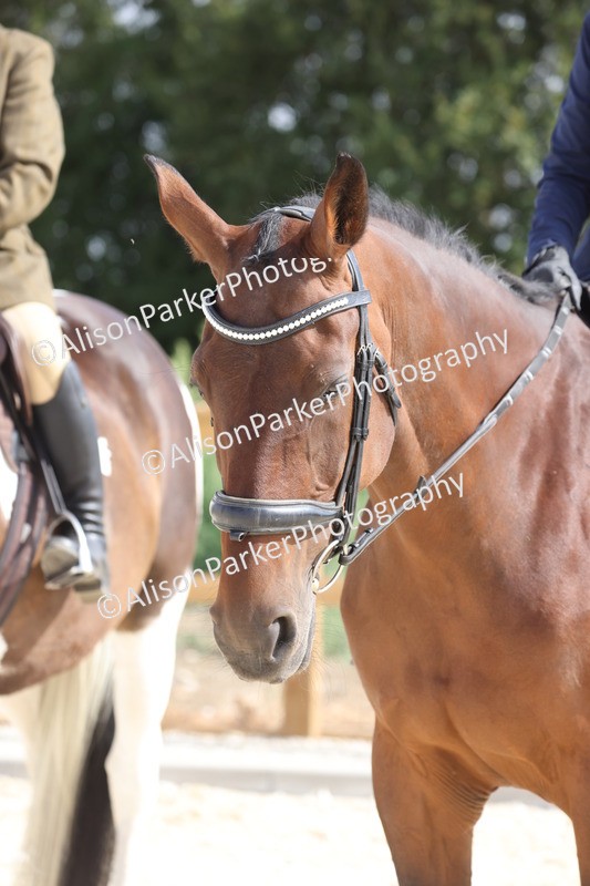 20260802-0506 - Class 6 - Veteran Ridden