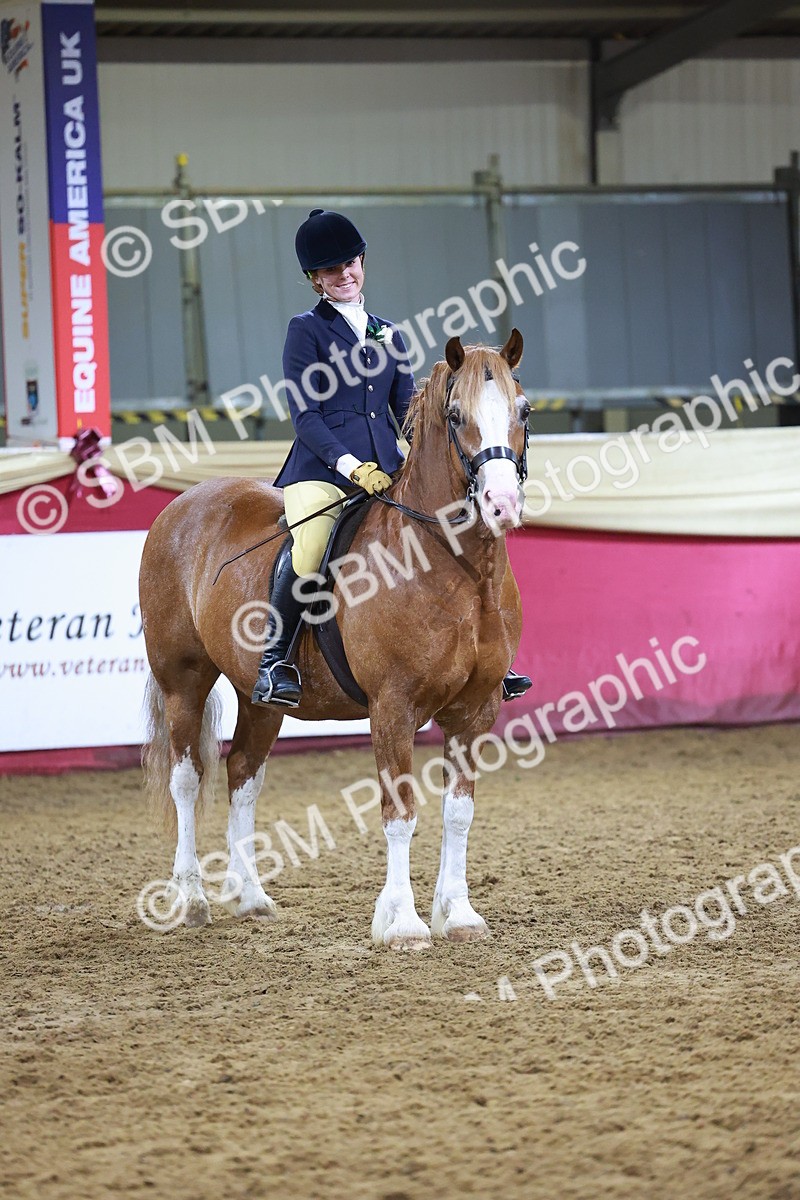 SBM_15285 - Class P - M&M Champ