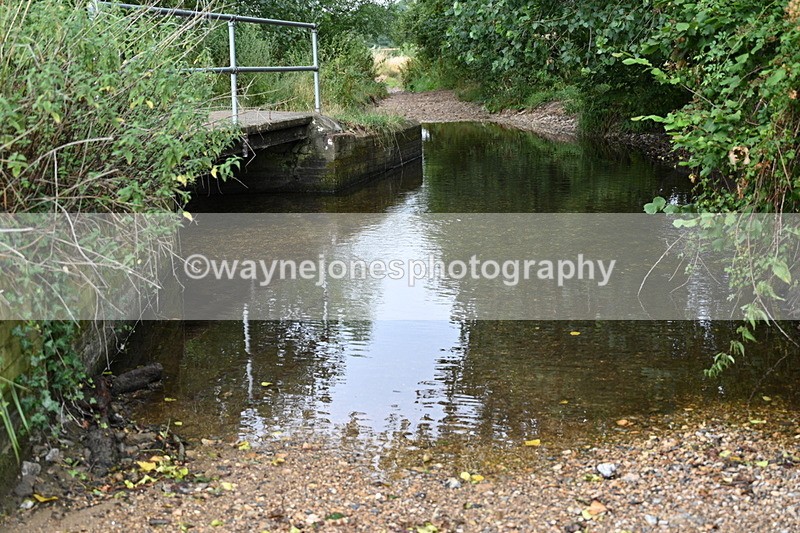 WJ7_8301 - Group 1