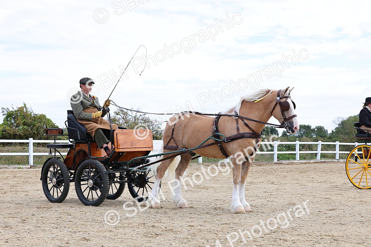 SBM_000783 - Class 6 - Exercise Vehicle 13.2 and over