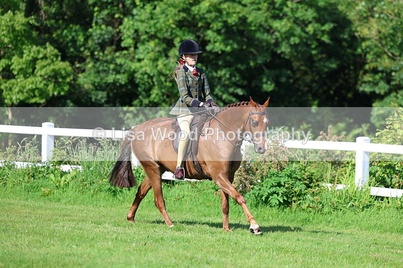 3E7A5975 - Class 27: Novice Working Hunter Pony