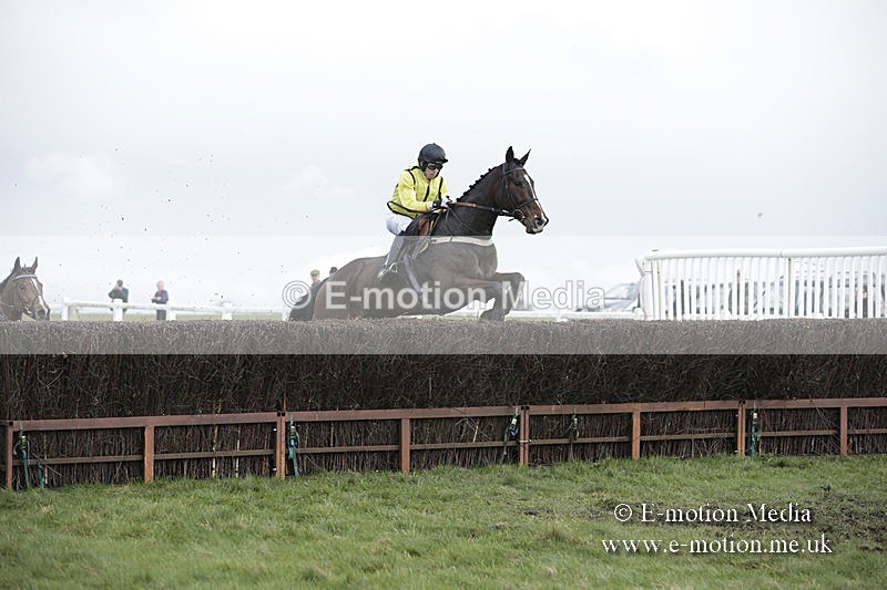PtP 150320 0574 - New Forest Point-to-Point Larkhill 15/03/20