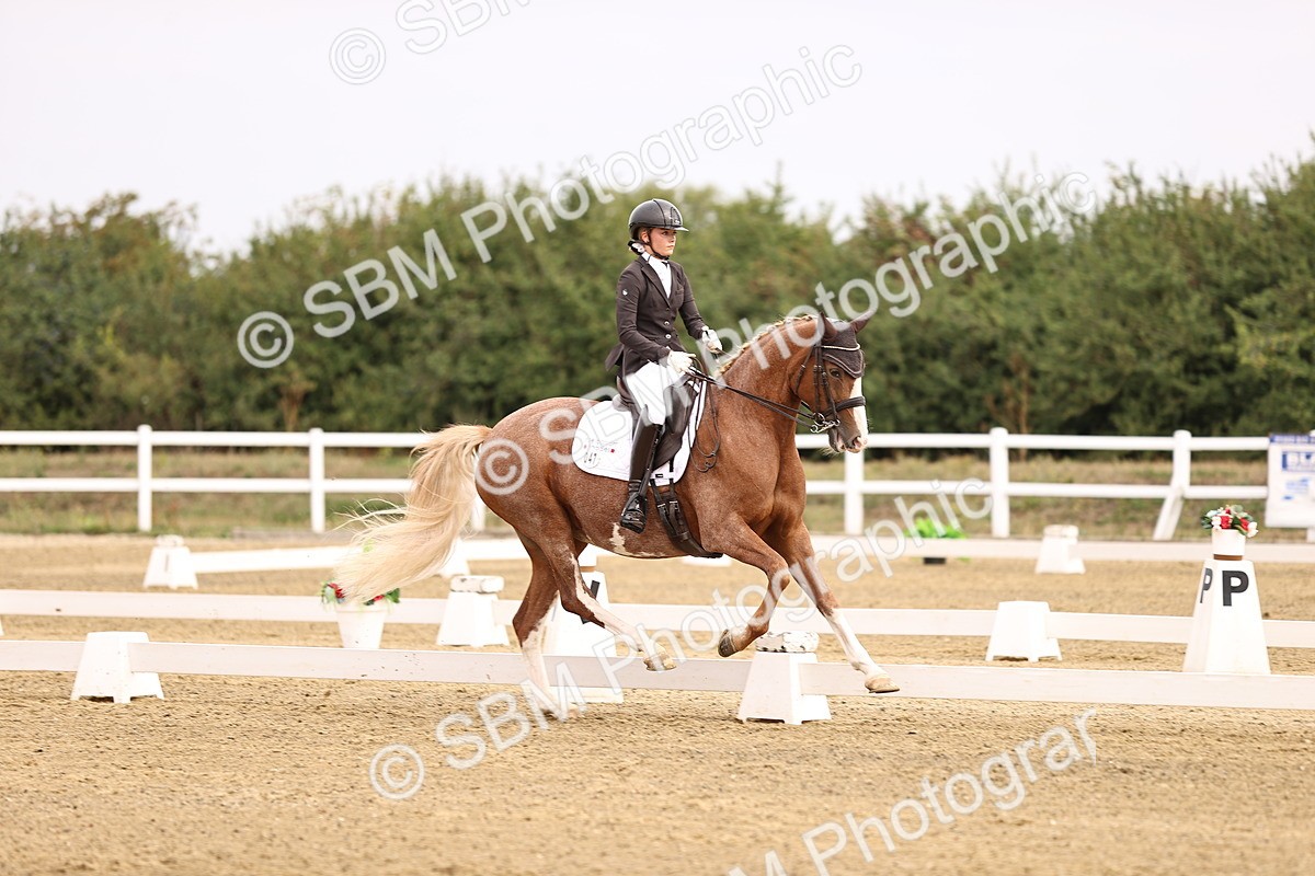 SBM_011535 - Class 1 - Medium 5