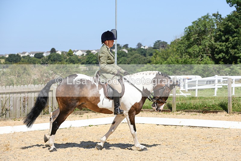 1X9A8223 - Class 12: Coloured Ridden