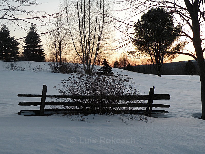  - Winter